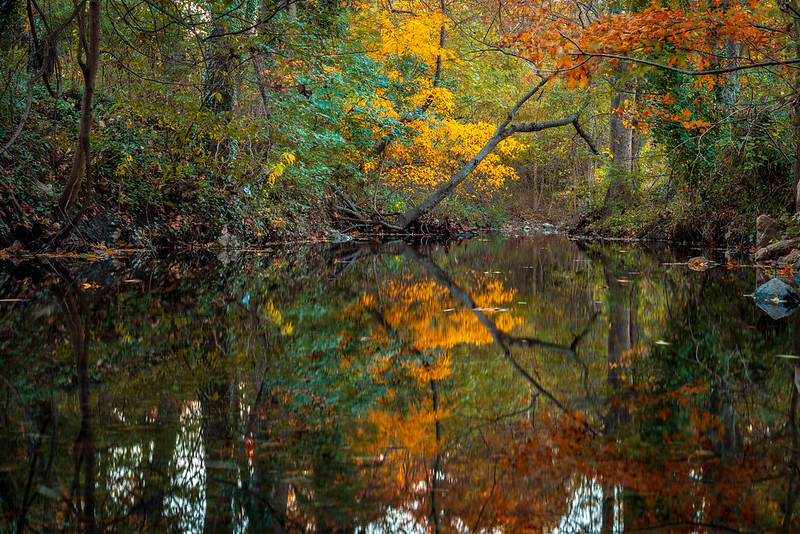 Fall Colors Reflecting in Rockcrest Park<br/>© <a href="https://flickr.com/people/94359914@N06" target="_blank" rel="nofollow">94359914@N06</a> (<a href="https://flickr.com/photo.gne?id=31832066168" target="_blank" rel="nofollow">Flickr</a>)