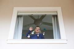 352/365 window decorations