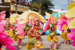 Pintaflores Festival