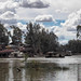 Echuca Steam Boats On the River