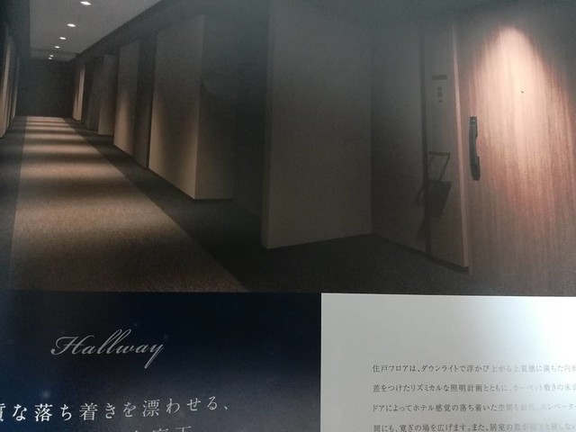 【共有スペース】高級感のある内廊下が素敵...