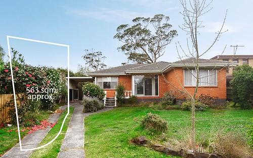 11 Leddy St, Forest Hill VIC 3131