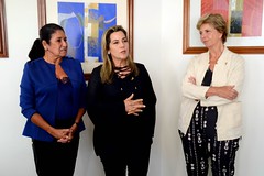 27/11/18 - 1ª Reunião da Coordenação Executiva do Secretariado Nacional do PSDB Mulher com a nova bancada feminina no Congresso