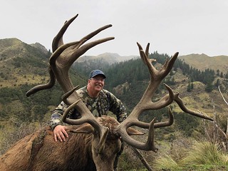 New Zealand Trophy Red Stag Hunting - Kaikoura 54