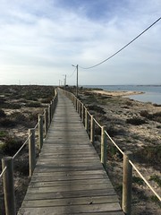 Faro