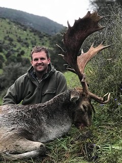 New Zealand Free Range Hunting - Marlborough 52