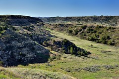 Morning Hours in Theodore Roosevelt National Park
