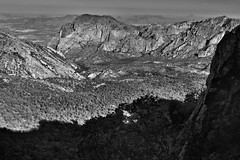 Shadows and Sunlight (Black & White, Big Bend National Park)
