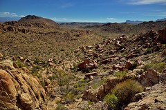 Rugged Landscape Across the Chihuahuan Desert (Big Bend National Park)