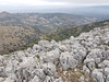 Sierras Subbticas Spain Andalusia Provincia de Crdoba  Naturpark Spanien Andalusien  Parque Natural Espaa Andaluca 