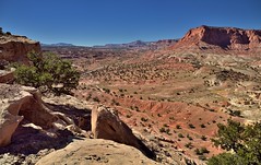 Sometimes When One Looks Back, One Catches an Amazing View (Capitol Reef National Park)