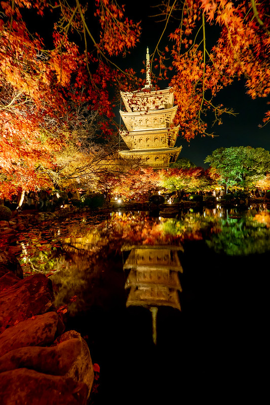京都の紅葉めぐり 瓢箪池に映る五重塔と紅葉 東寺紅葉ライトアップ Digital Life Innovator