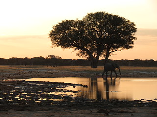 Zimbabwe Luxury Photo Safari 6