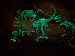 Glow in the dark dinosaurs