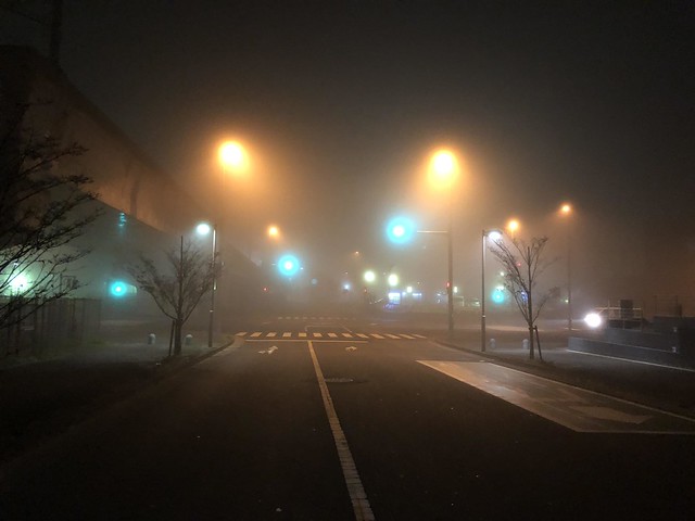 霧すごい実際には写真で見るより濃いです