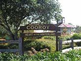 135 Cooroy Belli Creek Road, Cooroy QLD