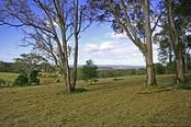 Lot 1 Grose Wold Road, Grose Vale NSW
