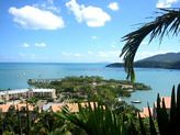 6/12 Golden Orchid Drive, Airlie Beach QLD