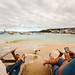 St. Ives drinkers and gull, UK