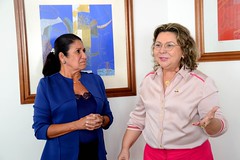 27/11/18 - 1ª Reunião da Coordenação Executiva do Secretariado Nacional do PSDB Mulher com a nova bancada feminina no Congresso