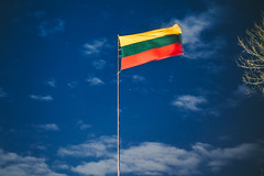 Lithuanian Flag #17/365