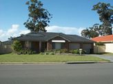 106 Kindlebark Drive, Medowie NSW