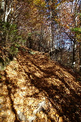 Hike to Belvédère du Mont Lachat @ Thônes