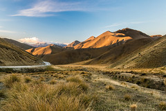 Tussock grasses, Lindis Pass at sunset, Central Otago