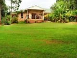 5 Cabbage Palm Road, Bonville NSW