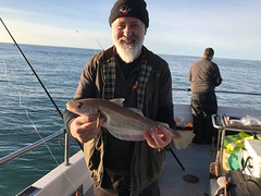 Andy Sheader - 3.25lbs Whiting • <a style="font-size:0.8em;" href="http://www.flickr.com/photos/113772263@N05/46137928172/" target="_blank">View on Flickr</a>