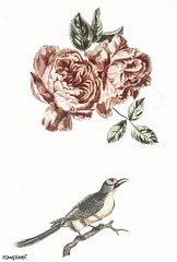 Two roses and a bird by Johan Teyler (1648-1709). Original from The Rijksmuseum. Digitally enhanced by rawpixel.