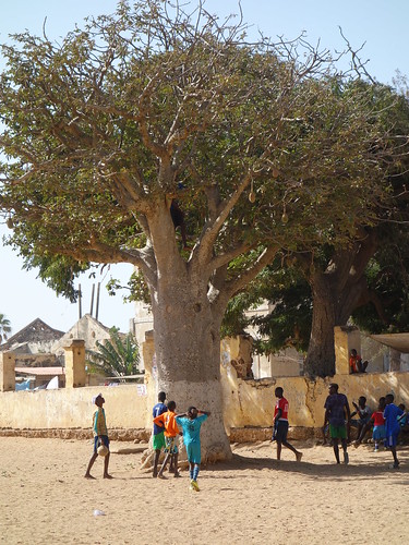 On trouve un terrain de foot improvisé sous le baobab