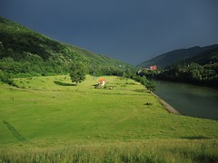 Coiza National Park, RomaniaNW