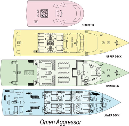 Oman Aggressor layout