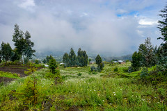 Kinigi, Ruanda