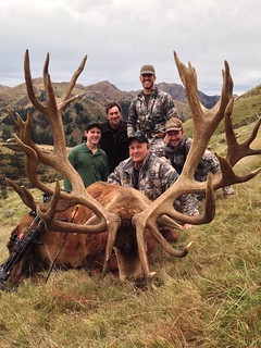 New Zealand Trophy Red Stag Hunting - Kaikoura 55
