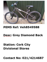 Cork City - grey Diamond Back - Veh8549588