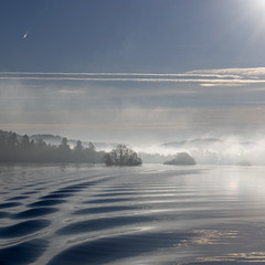 Project 365; Day 70