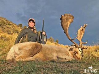 New Zealand Trophy Red Stag Hunting - Kaikoura 52