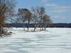A view of the frozen St. Lawrence River near Maitland, Ontario