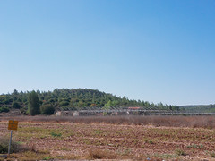 Emek-Haela, Israel.