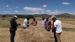 Steering Committee Meeting Field Visit in Ethiopia