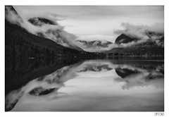 Reflections
