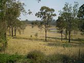 624 Lower Kangaroo Creek Road, Coutts Crossing NSW