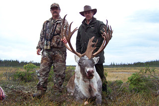 Newfoundland Caribou and Moose Hunting 35