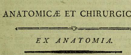 This image is taken from De contusione : theses anatomicae et chirurgicae : has theses, Deo juvante & praeside M. Petro Sue, secundus ...