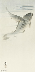 Carp (1900 - 1936) by Ohara Koson (1877-1945). Original from The Rijksmuseum. Digitally enhanced by rawpixel.