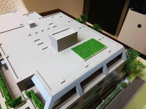 模型を見ていて、屋上の緑の一角が気になっ...