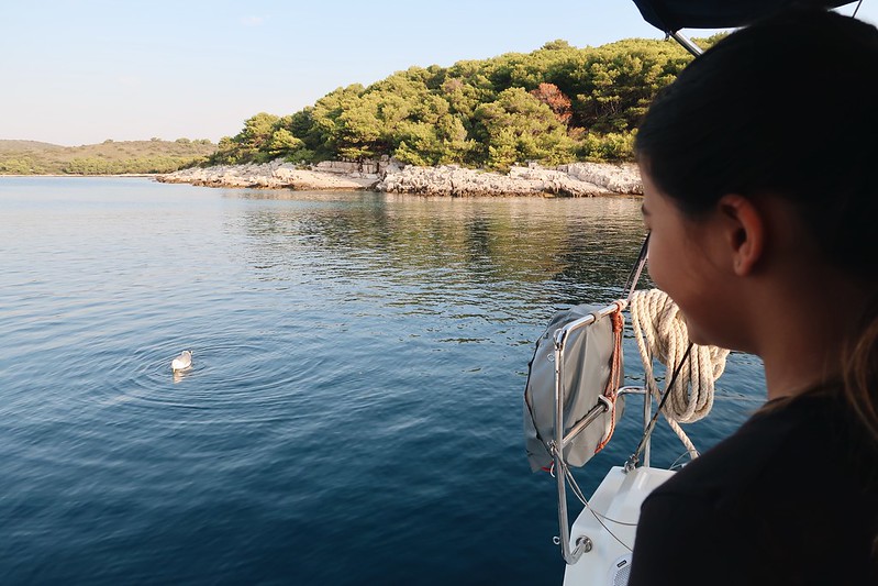 Sailing Croatia with Orvas Yachts. Blog post