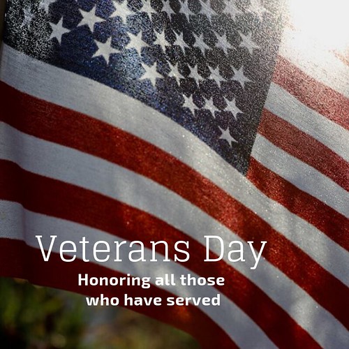 Veterans Day 2
Owner: UtahReps at flickr.com/people/58585543@N02/
License: Public Domain Mark